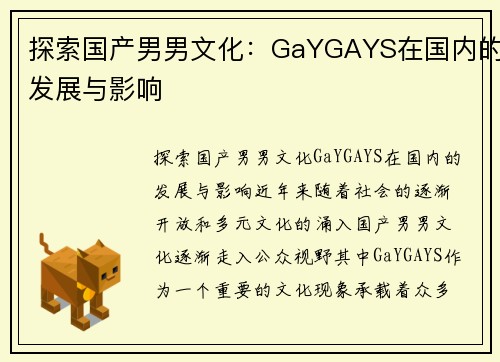 探索国产男男文化：GaYGAYS在国内的发展与影响